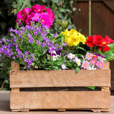 Florist Choice Planter