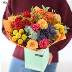 The Striking Sunset